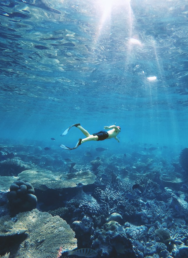 Entdecken Sie die Unterwasserwunder von Hurghada: Ein Tauchabenteuer wie kein anderes